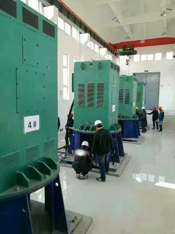 YKK6303-12某污水处理厂使用我厂的立式高压电机安装现场