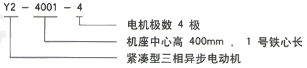 YR系列(H355-1000)高压YKK6303-12三相异步电机西安西玛电机型号说明